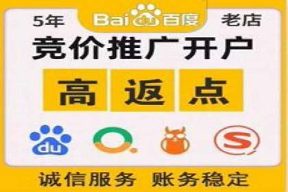百度推广公司案例解析：如何通过百度推广实现品牌升级